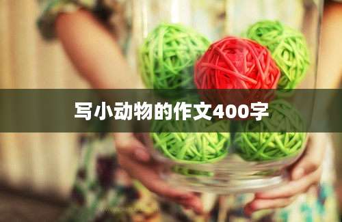 写小动物的作文400字