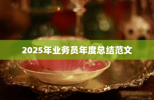 2025年业务员年度总结范文