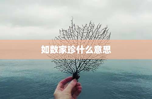 如数家珍什么意思