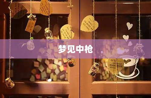 梦见中枪
