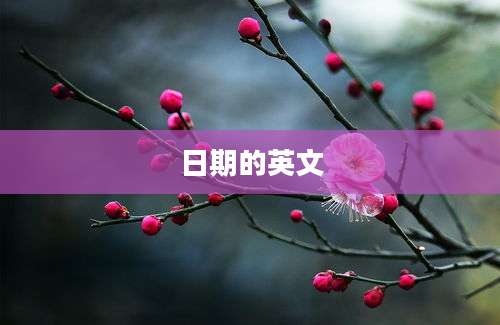 日期的英文