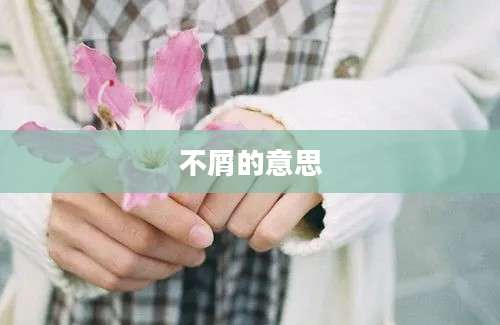 不屑的意思
