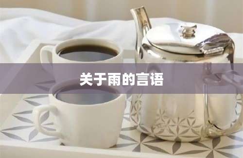 关于雨的言语