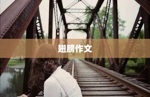 翅膀作文