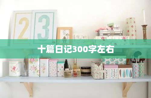 十篇日记300字左右