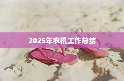 2025年农机工作总结