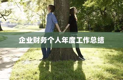 企业财务个人年度工作总结
