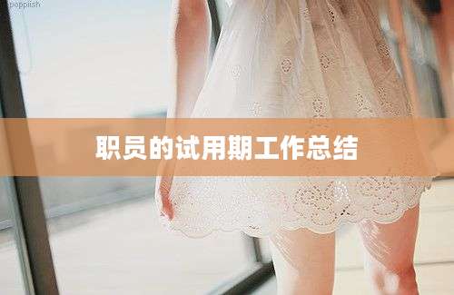 职员的试用期工作总结