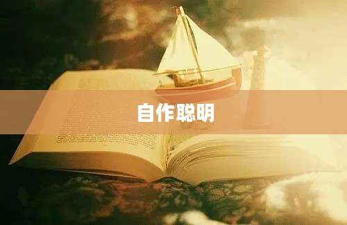 自作聪明
