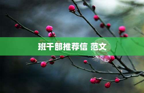 班干部推荐信 范文