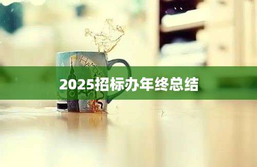 2025招标办年终总结