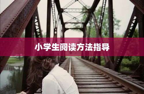小学生阅读方法指导