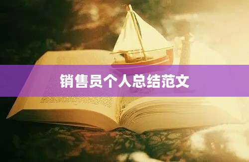 销售员个人总结范文