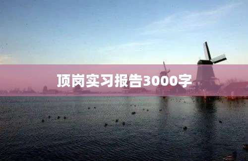 顶岗实习报告3000字