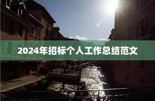 2024年招标个人工作总结范文