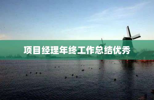 项目经理年终工作总结优秀