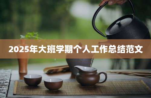 2025年大班学期个人工作总结范文