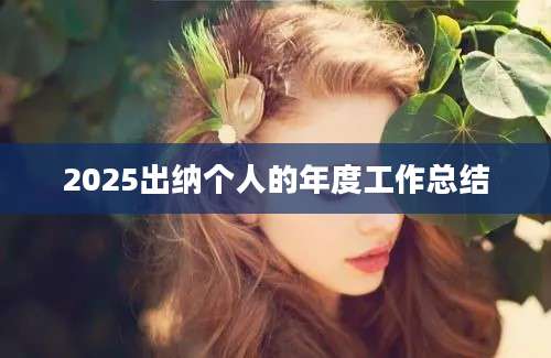 2025出纳个人的年度工作总结