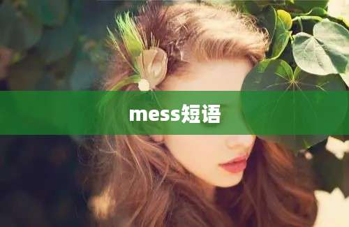 mess短语