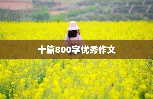 十篇800字优秀作文