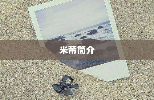 米芾简介