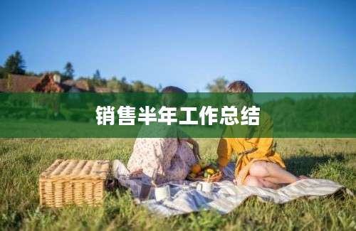 销售半年工作总结
