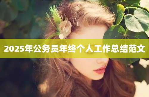 2025年公务员年终个人工作总结范文