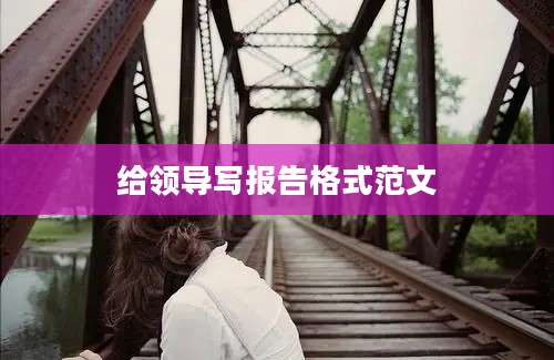 给领导写报告格式范文
