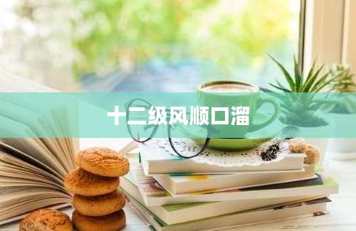 十二级风顺口溜