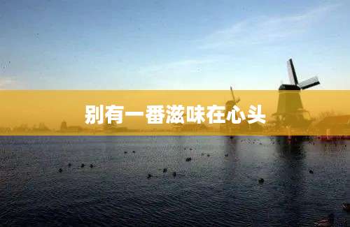 别有一番滋味在心头