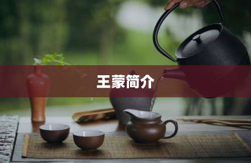 王蒙简介