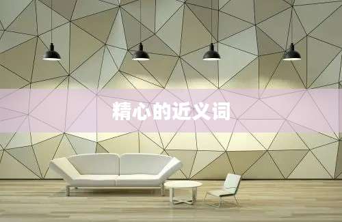 精心的近义词