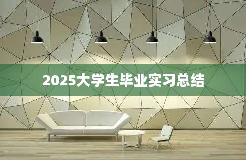 2025大学生毕业实习总结