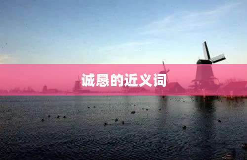 诚恳的近义词
