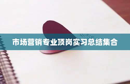 市场营销专业顶岗实习总结集合