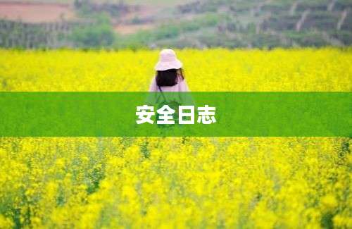 安全日志
