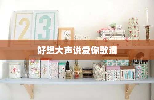 好想大声说爱你歌词