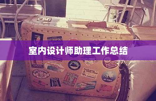 室内设计师助理工作总结