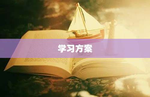 学习方案