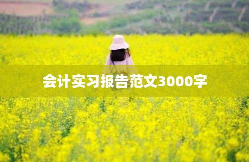 会计实习报告范文3000字