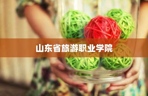 山东省旅游职业学院