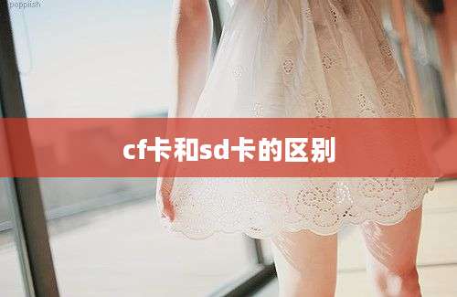 cf卡和sd卡的区别