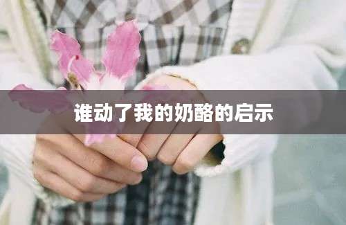 谁动了我的奶酪的启示