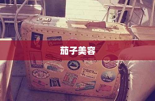 茄子美容