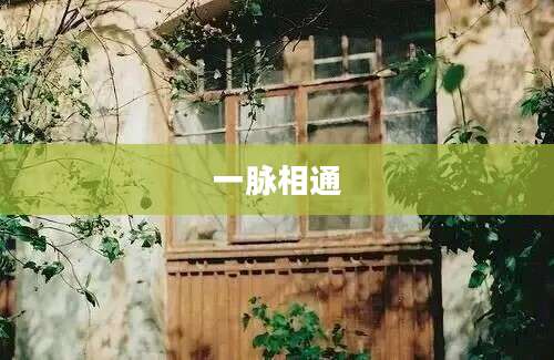 一脉相通