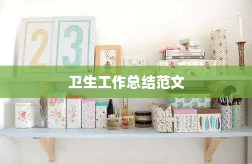 卫生工作总结范文