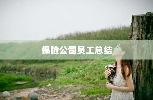 保险公司员工总结