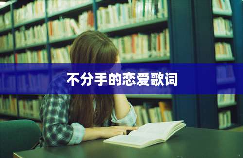 不分手的恋爱歌词