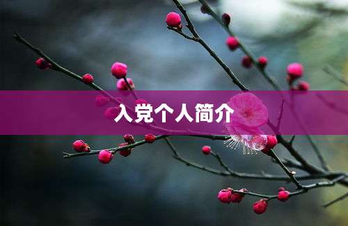 入党个人简介