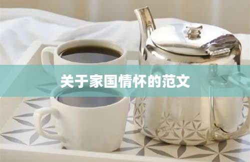 关于家国情怀的范文